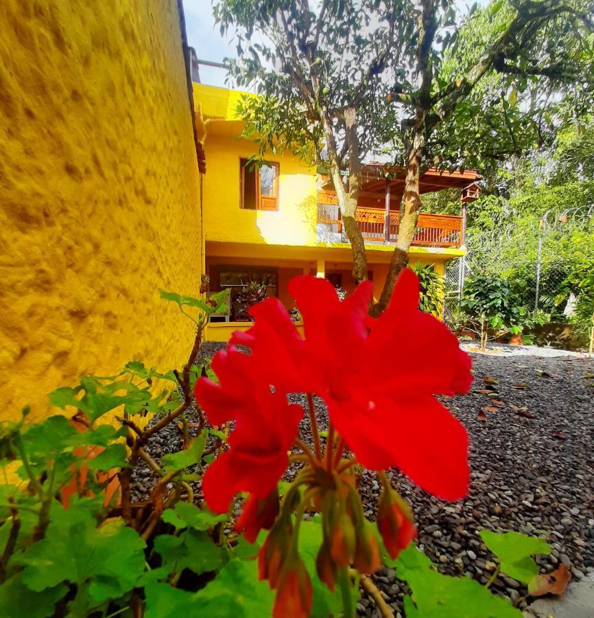 Cafe Racer Hostel Jardín Kültér fotó